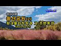 황산공원(2)/핑크뮬리정원과 주변풍경