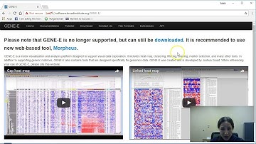 Simple Heat Maps with Morpheus