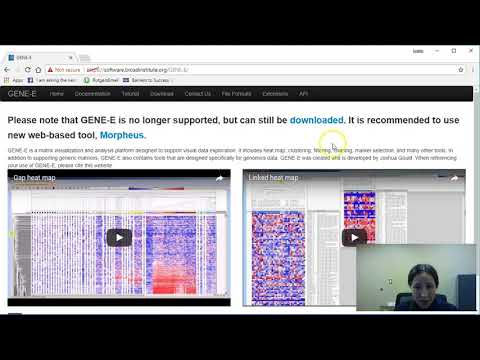 Simple Heat Maps with Morpheus