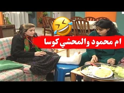 ام محمود والكوسا محشي  شوفو كيف جننتها لهناء  جميل وهناء