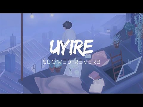 Uyire ~ s l o w e d + r e v e r b ~ Minnal Murali