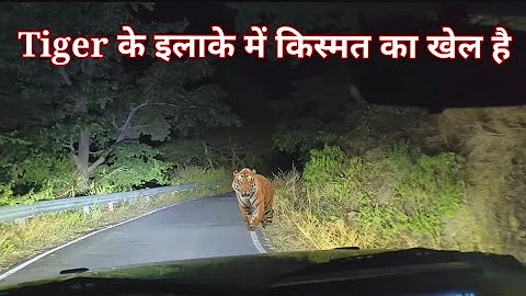Night Drive Jim Corbett National Park | Forest Sounds | Jungle Safari | Tiger Attack | Documentary