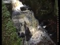 LUMSDALE FALLS  WITH SPECIAL APPERANCE  JEFF WONG