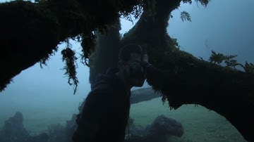 2018 presenting the artists  stroom invest week 2018 teaser v1