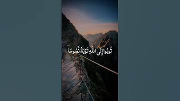 سورة التحريم - ماهر المعيقلي