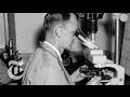 How DNA Changed the World of Forensics | Retro Report | The New York Times