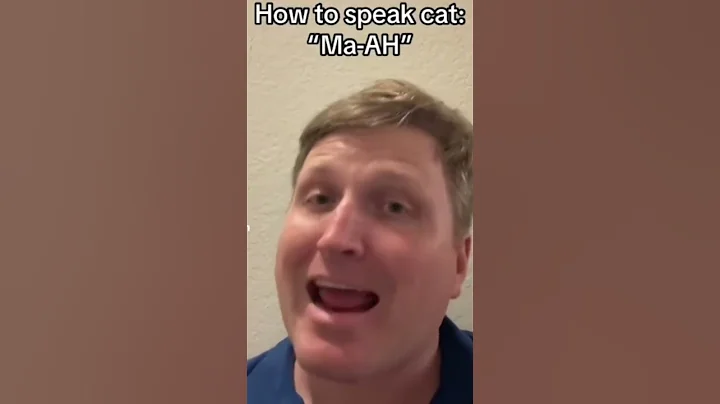 How to Speak Cat: Lesson 1 and 2 - DayDayNews