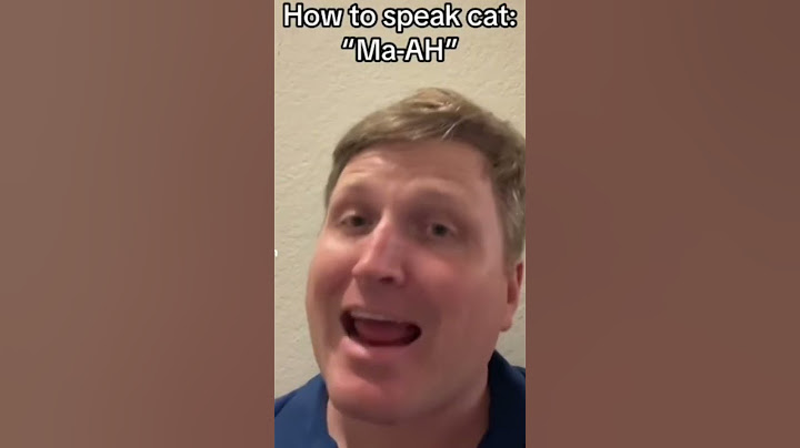 How to Speak Cat: Lesson 1 and 2