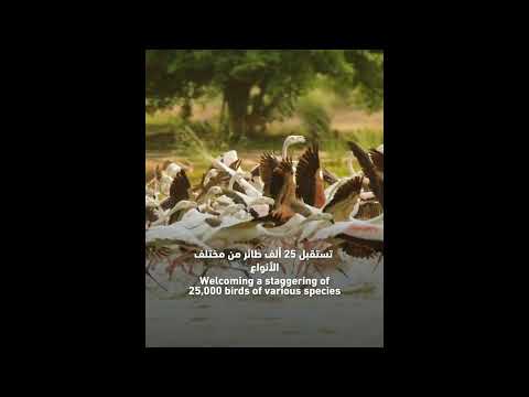 Ras Al Khor Wildlife Sanctuary | محمية رأس الخور البرية