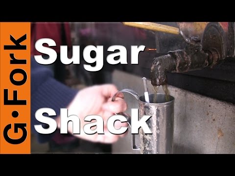 How to Make Maple Syrup : GardenFork.TV