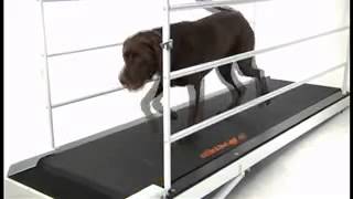 GoPet PR700 PetRun Dog Treadmill