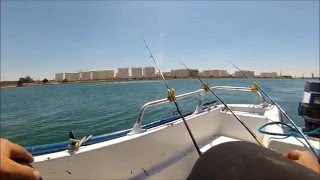 PECHE A MARTIGUES A LA DORADE 2 MAI