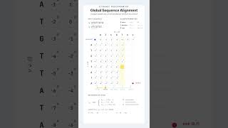 Sequence Alignment via Dynamic Programming