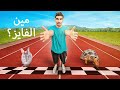 سويت سباق بين الأرنب والسلحفاة عشان اتأكد من القصة المشهورة 