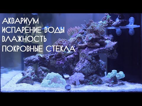 Видео: Как да си направим вода в солен аквариум