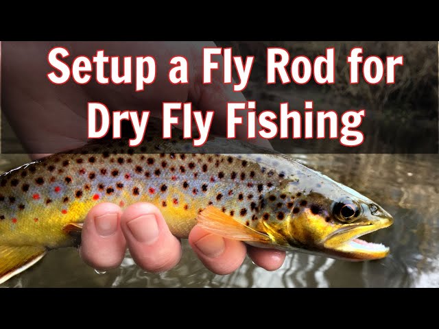 Setup a fly rod for dry fly fishing 