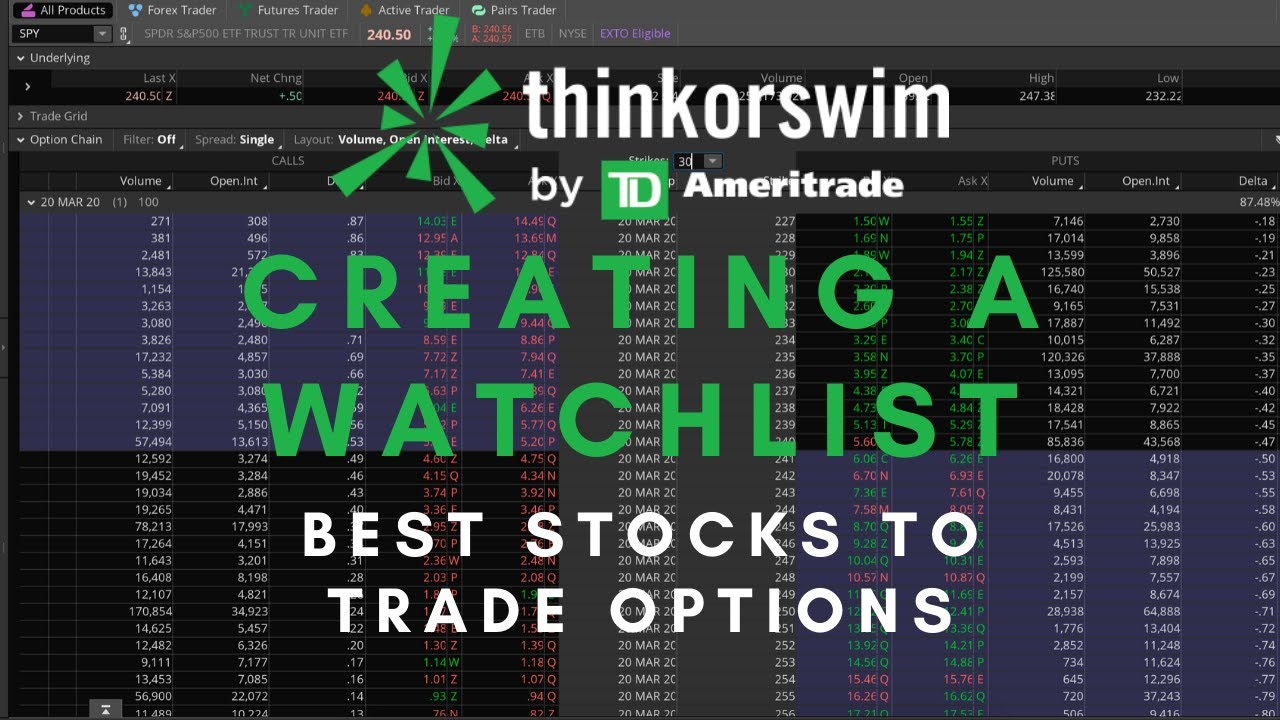 BEST Stock Options To Trade || Creating A Watchlist