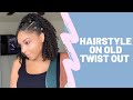 Hairstyle on old twist out!