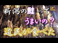 【新潟】新潟に昔からある塩引きの鮭。北海道の鮭と何が違うの?新潟の村上市まで行って確かめてみた! #グルメ #新潟 #サーモンラン