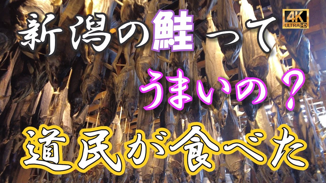 【新潟】新潟に昔からある塩引きの鮭。北海道の鮭と何が違うの？新潟の村上市まで行って確かめてみた!　 #グルメ  #新潟 　#サーモンラン