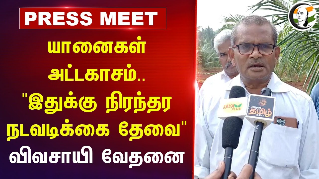யானைகள் அட்டகாசம்.. "இதுக்கு நிரந்தர நடவடிக்கை தேவை" | Dindigul | Elephant | Farmers