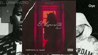 El Lunarcito (Remix) - Taiger ft Harryson (LETRA)