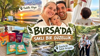 Bursada Sakli Bi̇r Güzelli̇k Fadilli Köyü Göl Manzarali Leylek Cafe Suuçtuda Sabah Yürüyüşü