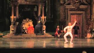 Sleeping Beauty Networkdance
