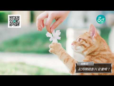 【聲優SoundU】就愛聽好書｜從此，不再勉強自己