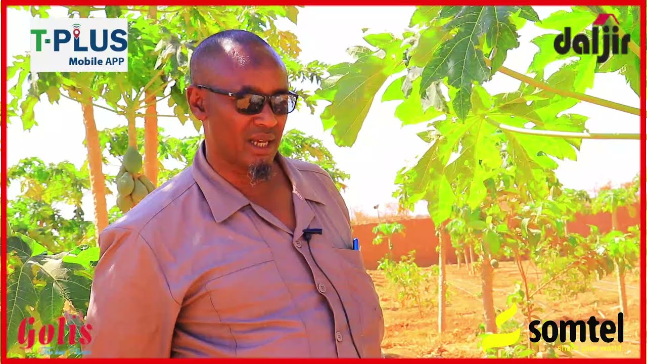 RIYADII BEENOWDAY OO AY BADASHAY RIYADII RUMOWDAY,| BURTINLE & WAX SOOSARKA BEERAHA