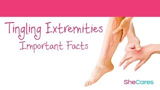 Porno komikslar Transaeroni boshlaydi