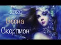 Скорпион ♏️ Весна 2020 года/Таро-прогноз