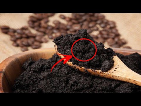 Vídeo: É possível comer borra de café