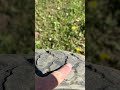2024 KLR 650 - Stock tires worn out? #adventureriding #kawasaki #klr650