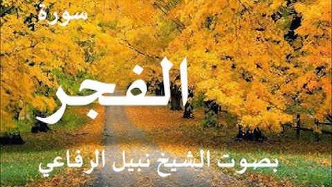 سورة الفجر الشيخ نبيل الرفاعي