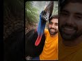 “Giant Jungle Bird ke Saath Selfie 😲 | AI Wildlife Video | Amazing Cassowary” #AIVideo #Wildlife#