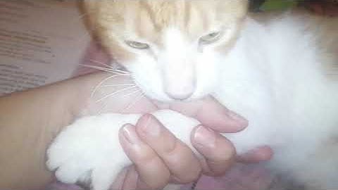 Grade 6💥 Connect plus 💥Quick revision on unit 1💥