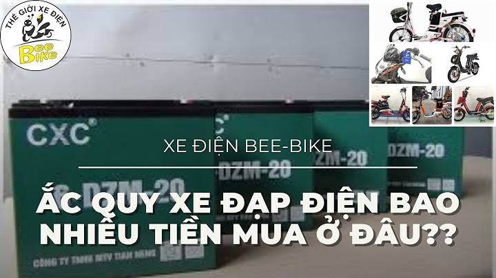 Bình xe đạp điện bao nhiêu tiền