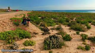 Desierto Florido Región de Atacama