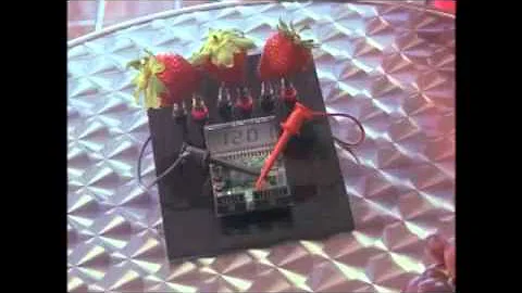 MSP430 Low Power Demo using Grapes as a Power Source