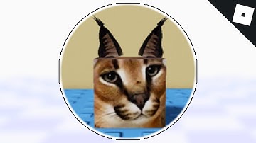 How to get the FLOPPA BADGE & MORPH in FIND THE FLOPPA MORPHS | Roblox