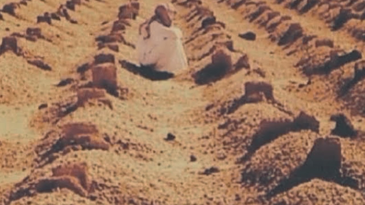 المداح حسين الحربي عتابة ونايل يبجي عن الاخ 😓😭😭