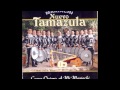 Hasta La Miel Amarga-Mariachi Nuevo Tamazula 2Cd(versión mariachi)