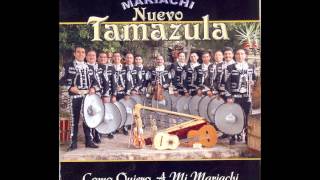 Hasta La Miel Amarga-Mariachi Nuevo Tamazula 2Cd(versión mariachi) chords