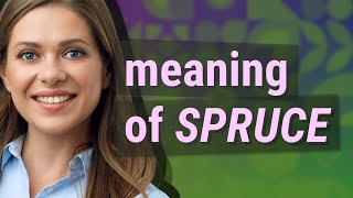 Spruce  Meaning Of Spruce