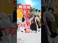 鬼滅の刃 | 無限城に突入する柱とすれ違う散歩中の鬼さん達 | Demon Slayer MMD #demonslayer #鬼滅の刃 #鬼滅のmmd