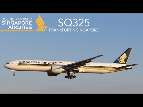 Video: Singapore Airlines: Anmeldelser Fra Flyselskaber