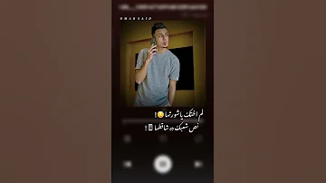 حالات واتس على قدوره مهرجان لم اختك يا شورتها 