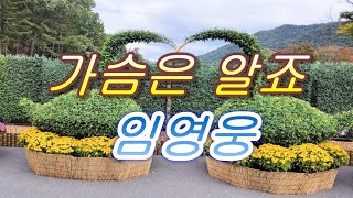 가슴은 알죠 & 임영웅 3번듣기