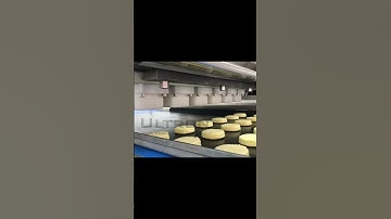 Cookie depositor | wire cut cookie #machine #cookies #bakery machine